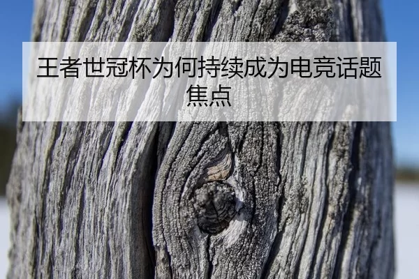 王者世冠杯为何持续成为电竞话题焦点